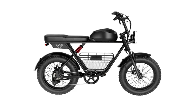Electric Bike D5: 1000W motor, 48V 21AH battery, 50 km/h top speed