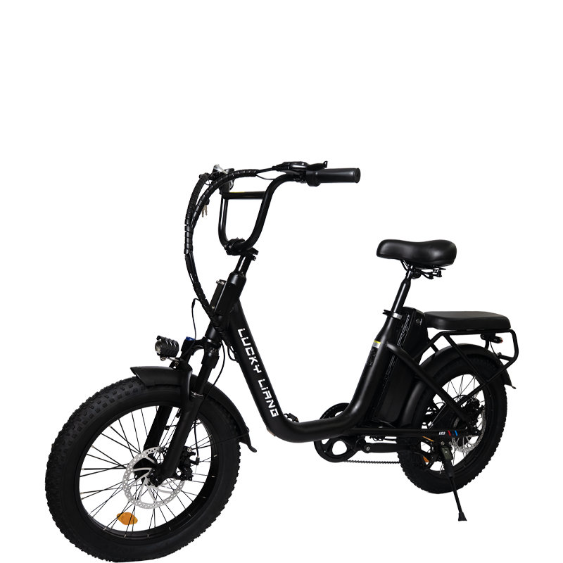 Lucky Liang U03 Electric Bike 500W Motor (750W Max), 48V 13Ah Battery, 45Km/h Speed, 45Km Range, 20”3.0 Tires, Disc Brakes, Carbon Steel Frame – Powerful Long Range E-Bike for Adults