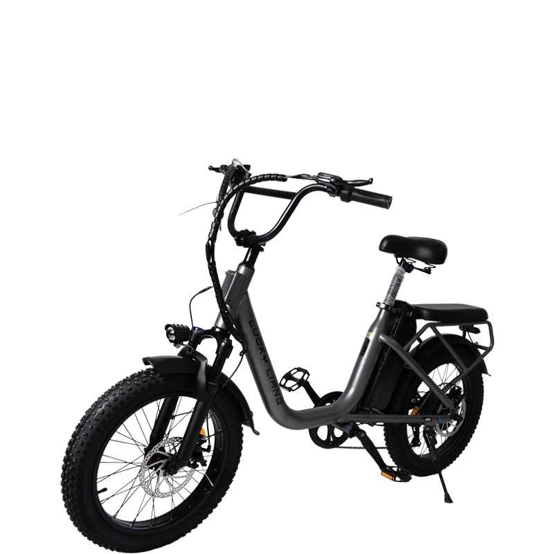 Lucky Liang U03 Electric Bike 500W Motor (750W Max), 48V 13Ah Battery, 45Km/h Speed, 45Km Range, 20”3.0 Tires, Disc Brakes, Carbon Steel Frame – Powerful Long Range E-Bike for Adults
