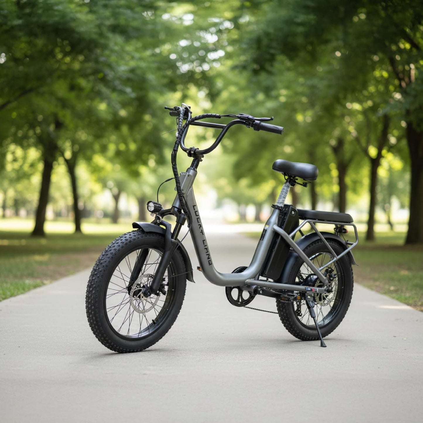Lucky Liang U03 Electric Bike 500W Motor (750W Max), 48V 13Ah Battery, 45Km/h Speed, 45Km Range, 20”3.0 Tires, Disc Brakes, Carbon Steel Frame – Powerful Long Range E-Bike for Adults