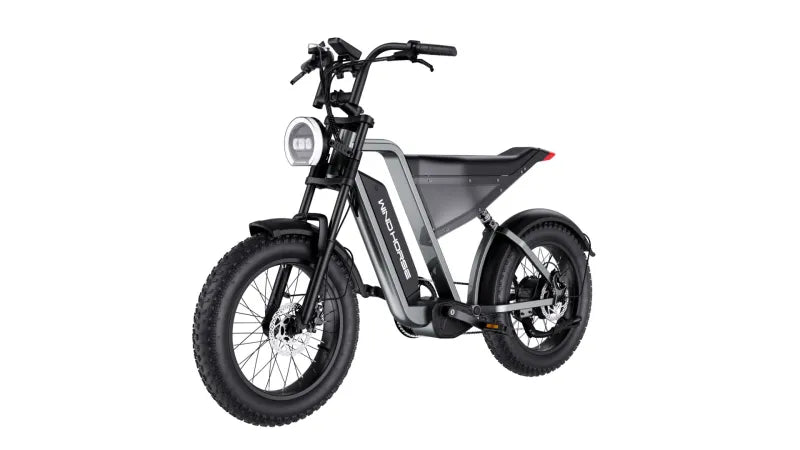 D3 Electric Bike with a 1000W motor, 48V 18AH battery, and a 50 km/h top speed