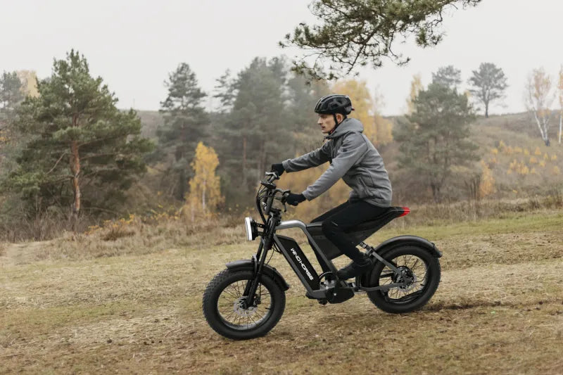 D3 Electric Bike with a 1000W motor, 48V 18AH battery, and a 50 km/h top speed