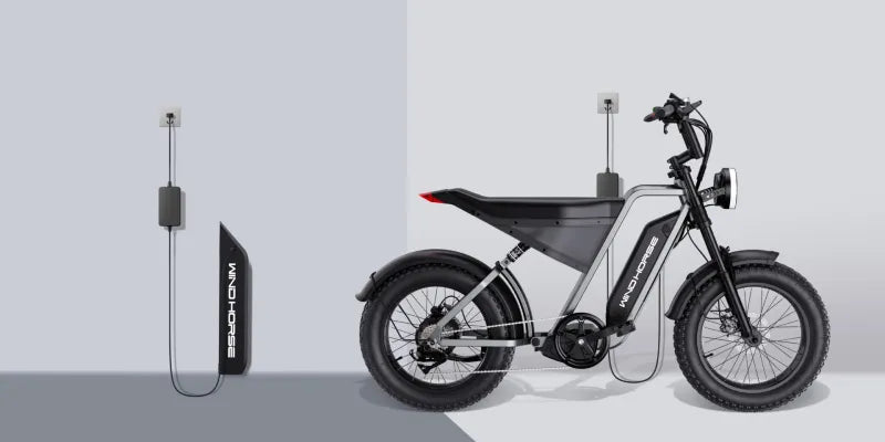 D3 Electric Bike with a 1000W motor, 48V 18AH battery, and a 50 km/h top speed