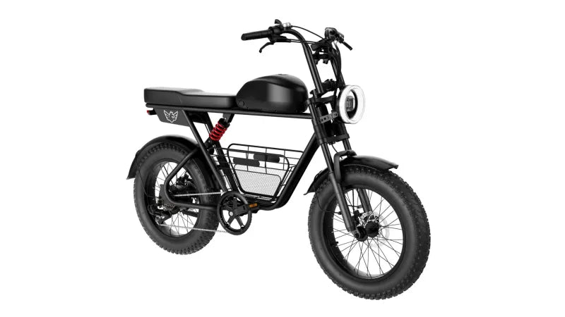 Electric Bike D5: 1000W motor, 48V 21AH battery, 50 km/h top speed