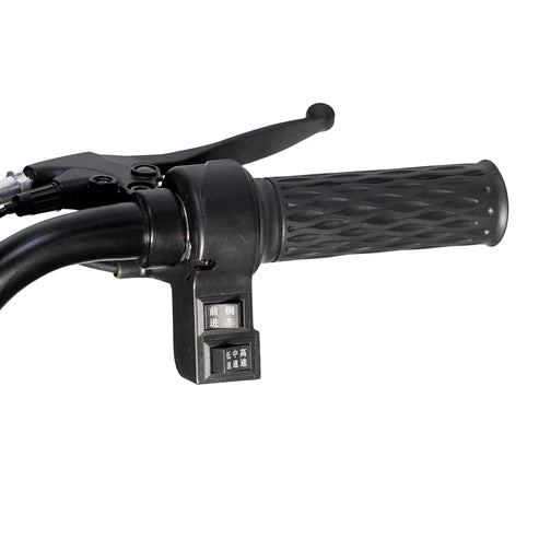600W 48V electric motorcycle Electric Bicycles 3 wheel