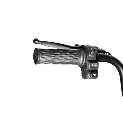 600W 48V electric motorcycle Electric Bicycles 3 wheel
