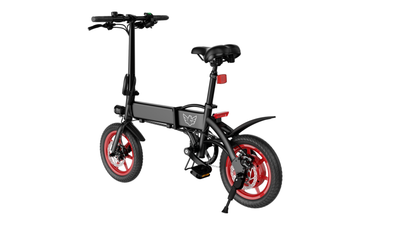 C19 Folding Electric Bike