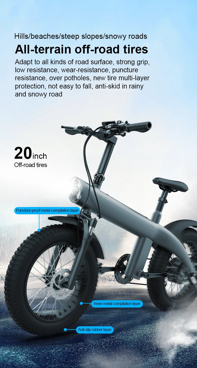 Electric Bike with Rear Spring shock Absorber