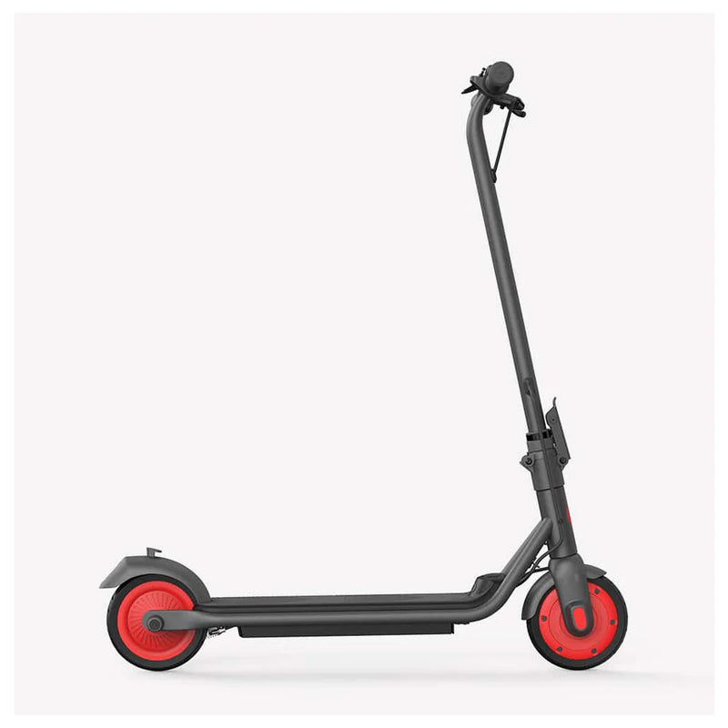 Segway Ninebot C15E (EU) Kids Electric Kick Scooter