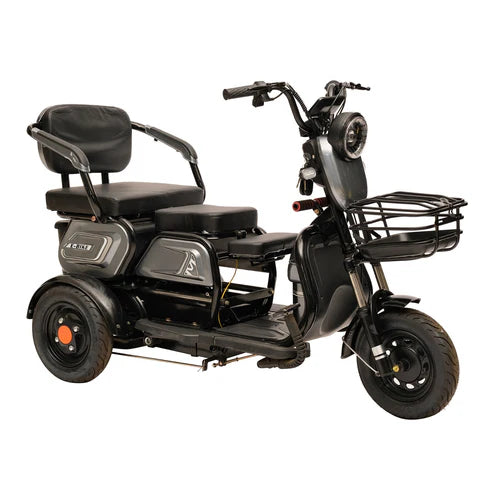 600W 48V electric motorcycle Electric Bicycles 3 wheel