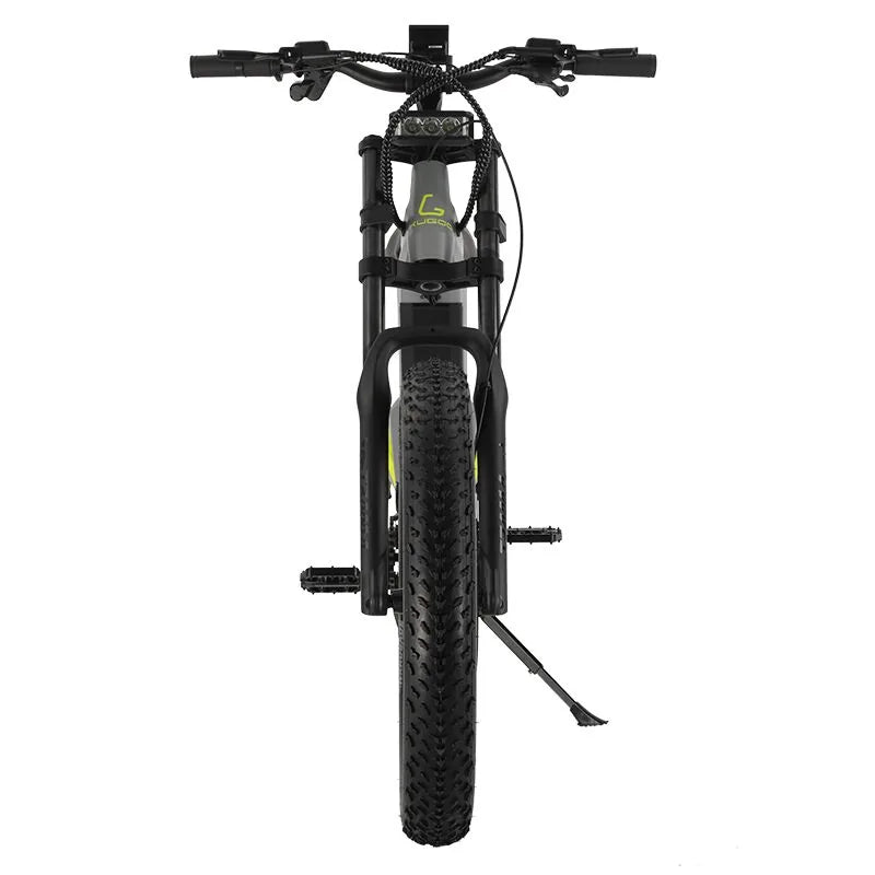 Kugoo Zero 24