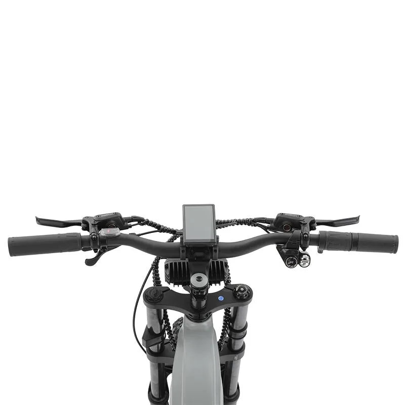 Kugoo Zero 24