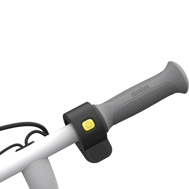 Segway-Ninebot eKickscooter Zing C10